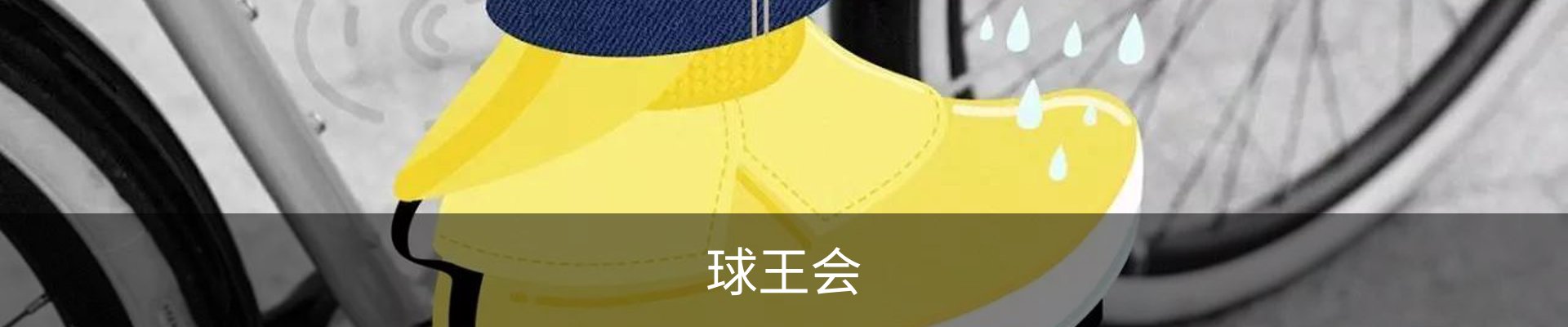 球王会·(体育)官方网站